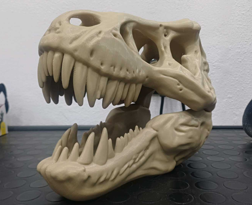 Dino Wandkunst T-Rex