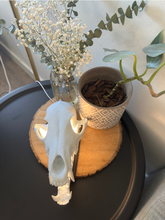 Kojotenschädel Kojotenlampe (ohne Lampe)