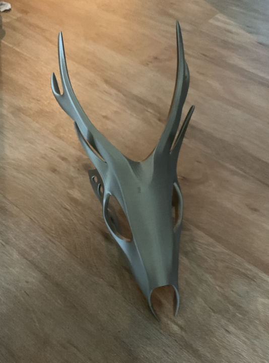 Moderner Rehschädel