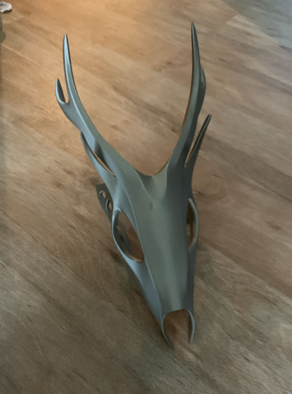 Moderner Rehschädel