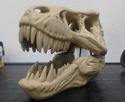 Dino Wandkunst T-Rex