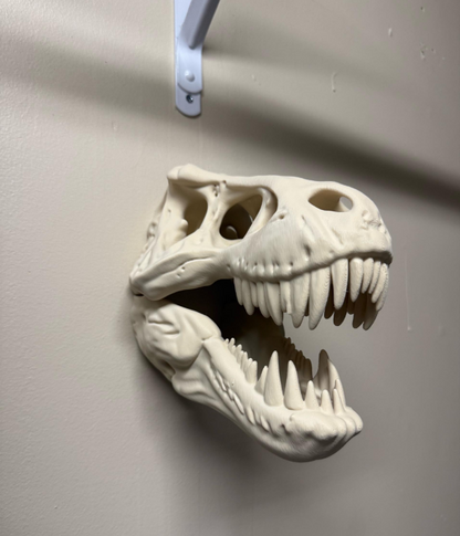 Dino Wandkunst T-Rex