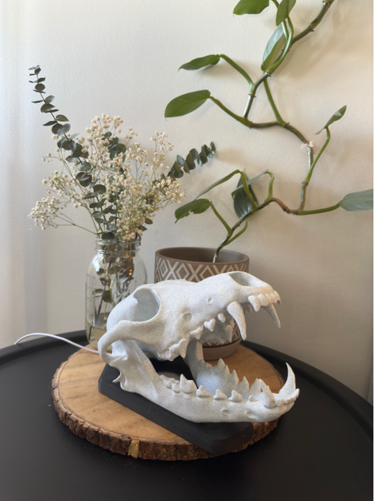 Kojotenschädel Kojotenlampe (ohne Lampe)